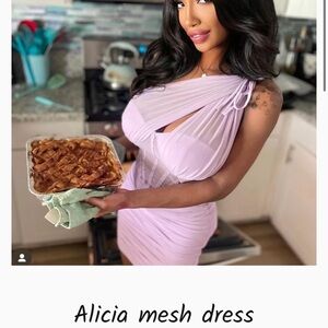 Mesh Dress in Lavender size L